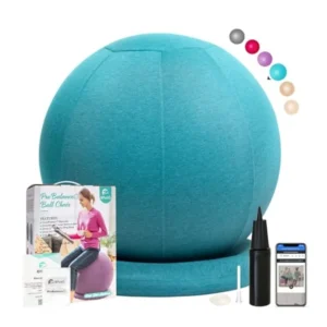 Enovi ProBalance Ball Chair