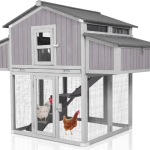 Large Chicken Coop Folding Design Easy to Set Up Portable Chicken House