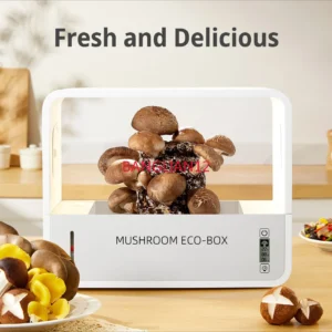 Shiitake Mushroom Cultivator Automatic Humidification